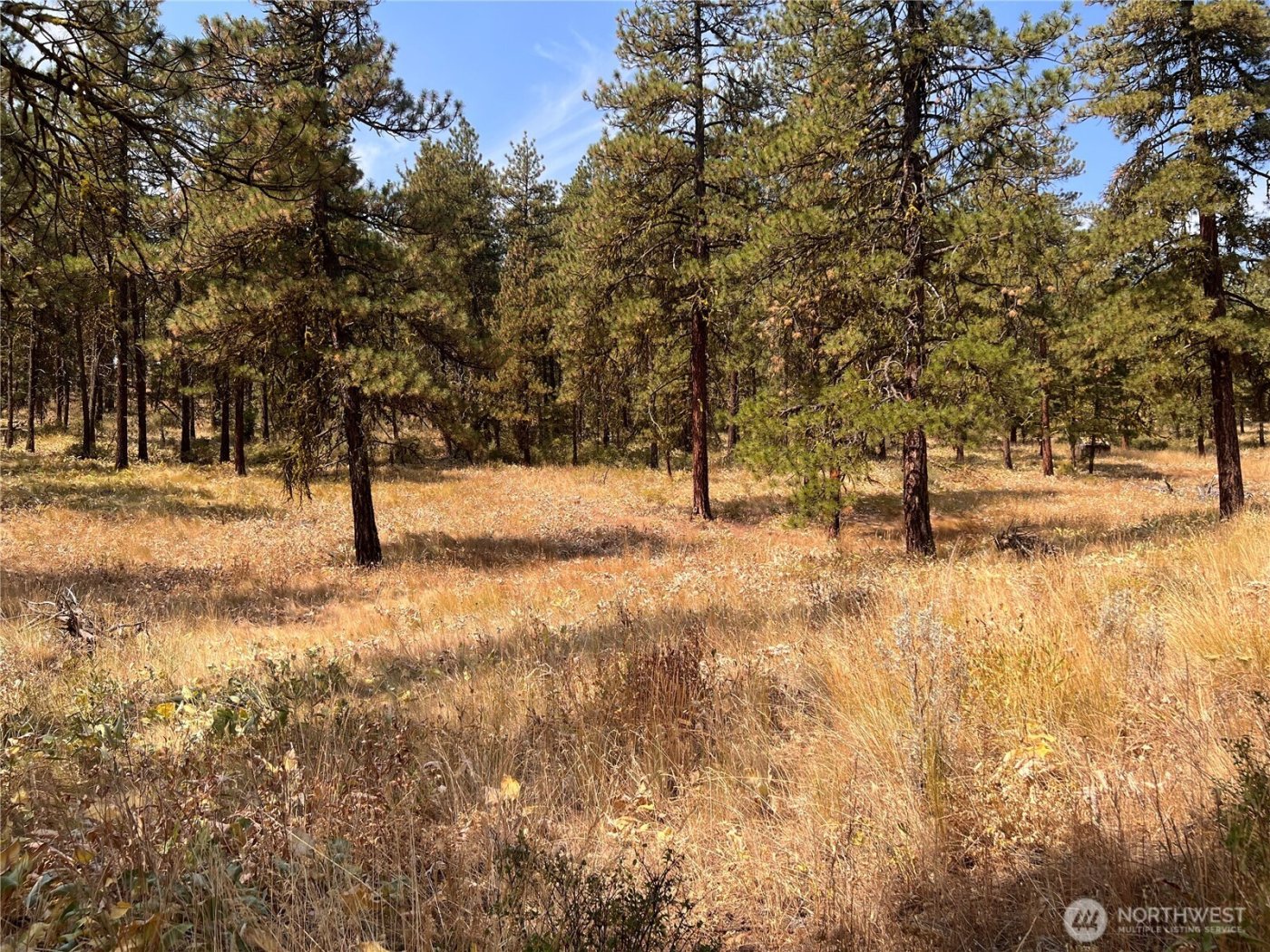 301 Sunrise Way , East Wenatchee, WA 98802