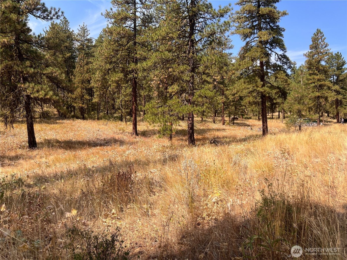 301 Sunrise Way , East Wenatchee, WA 98802