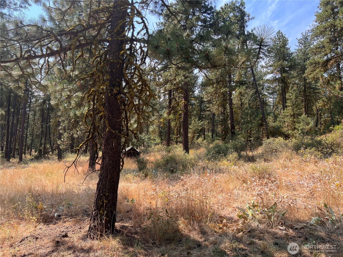 301 Sunrise Way , East Wenatchee, WA 98802