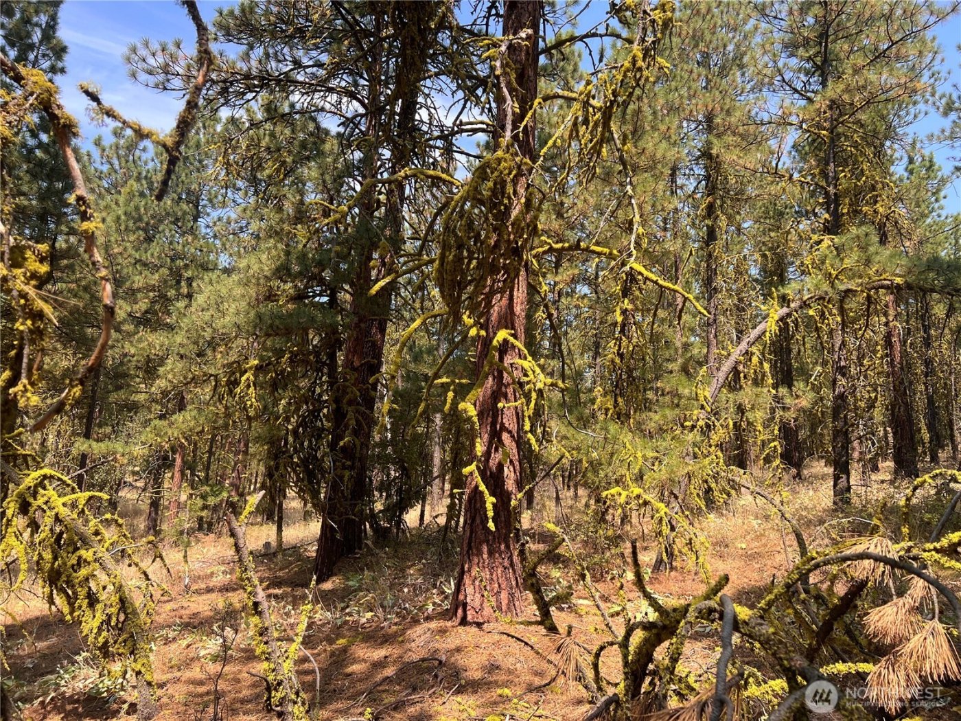 301 Sunrise Way , East Wenatchee, WA 98802