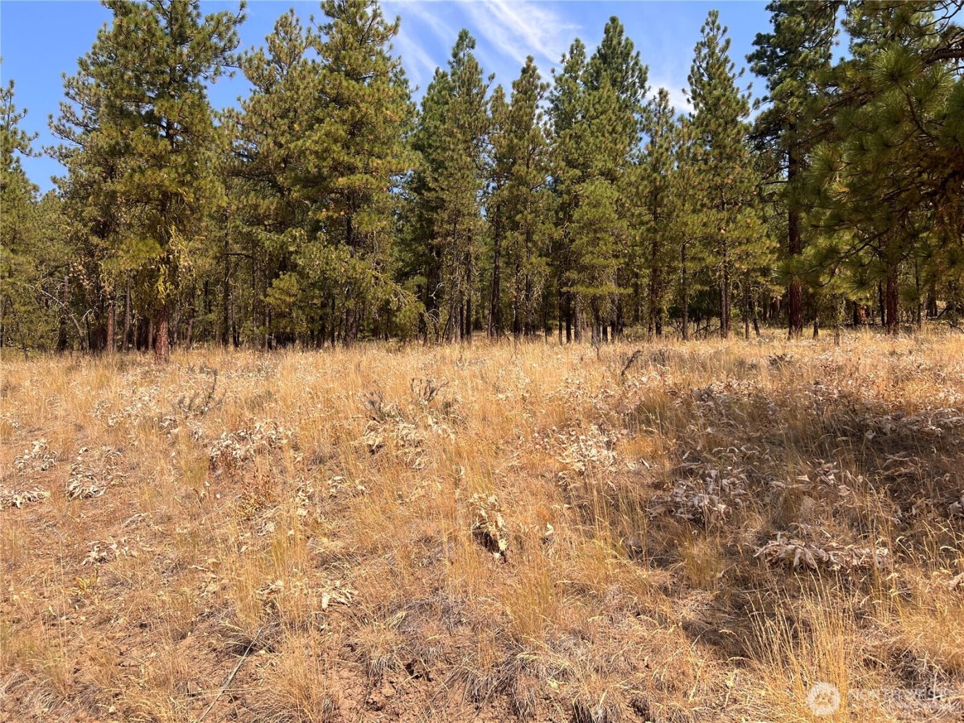 301 Sunrise Way , East Wenatchee, WA 98802