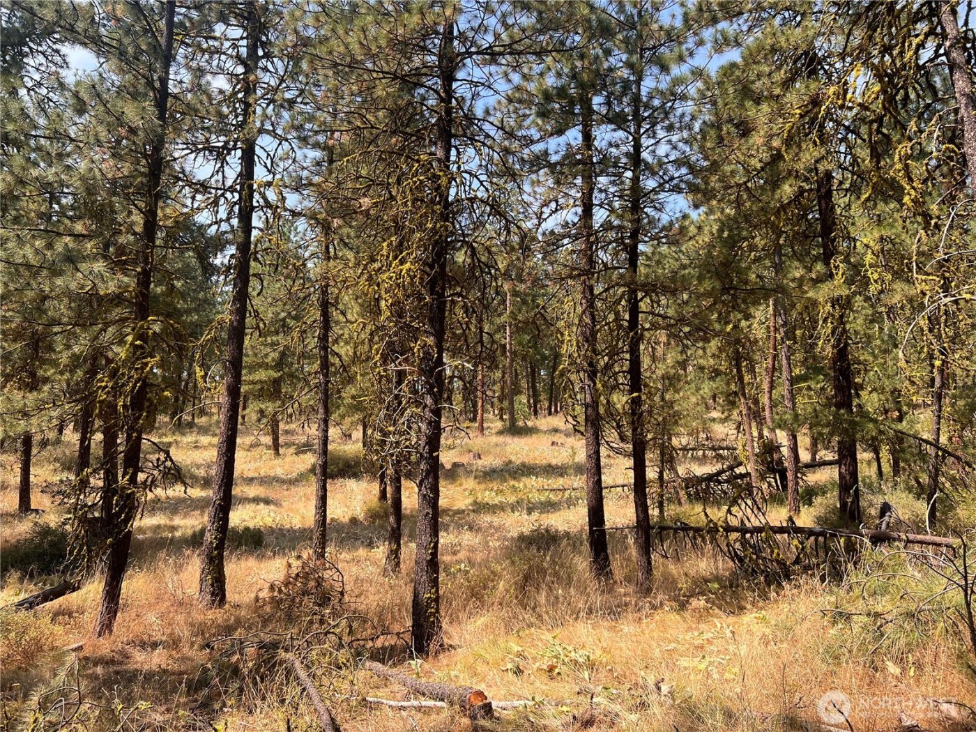 301 Sunrise Way , East Wenatchee, WA 98802