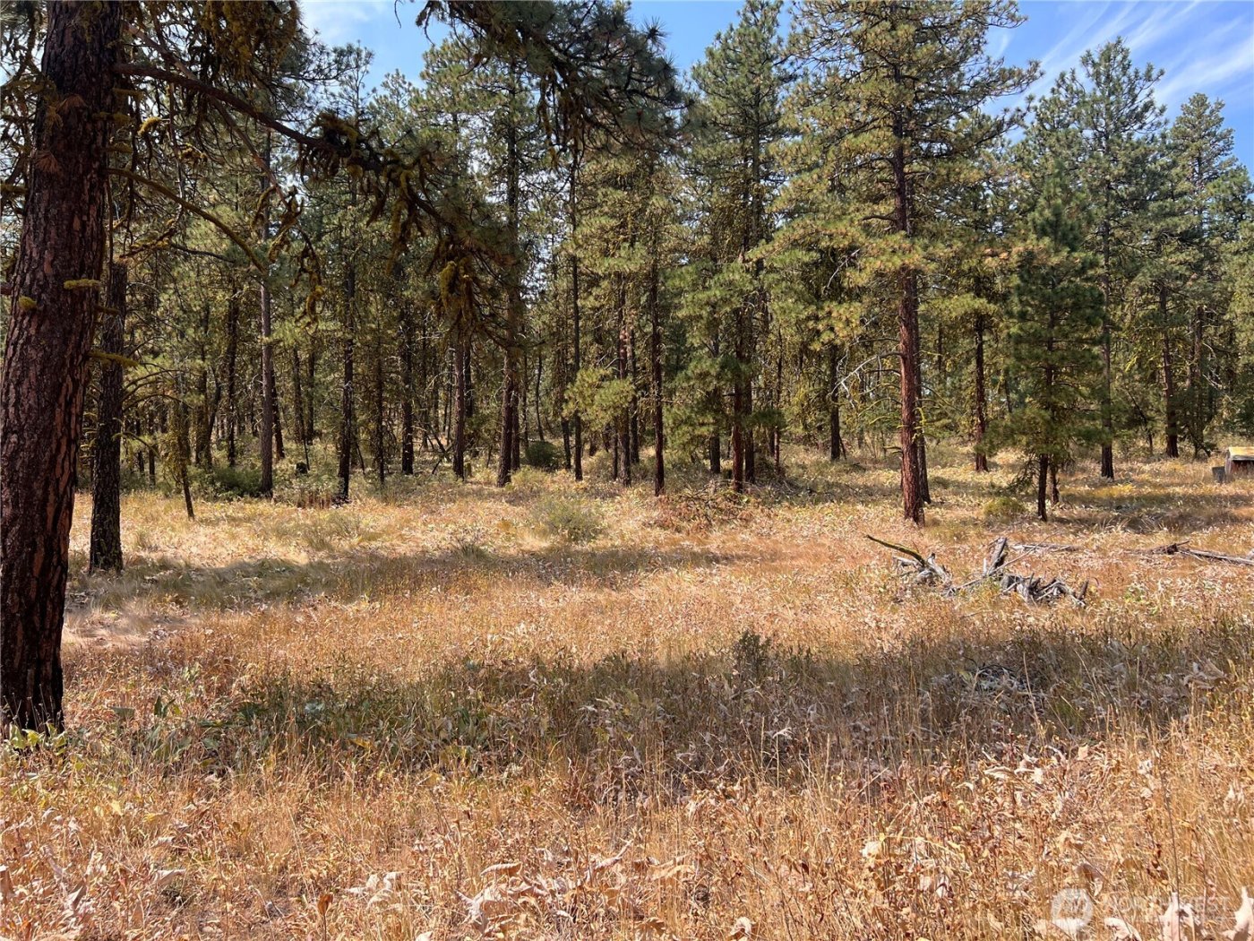 301 Sunrise Way , East Wenatchee, WA 98802