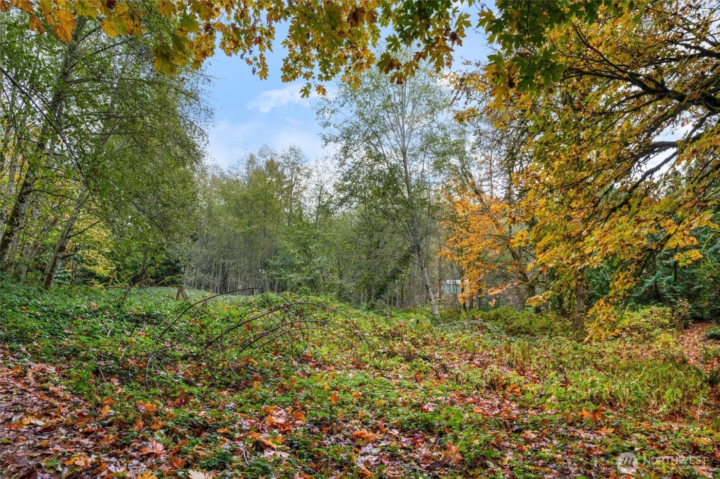 1916 Key Peninsula Highway NW, Lakebay, WA 98349