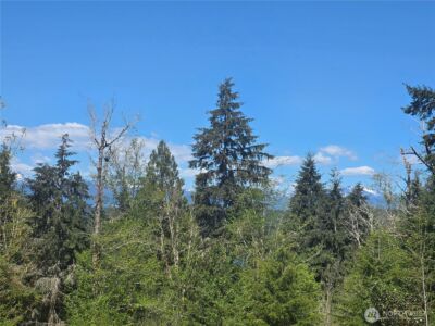 235 E Heights Place N, Belfair, WA 98528 - Photo 2