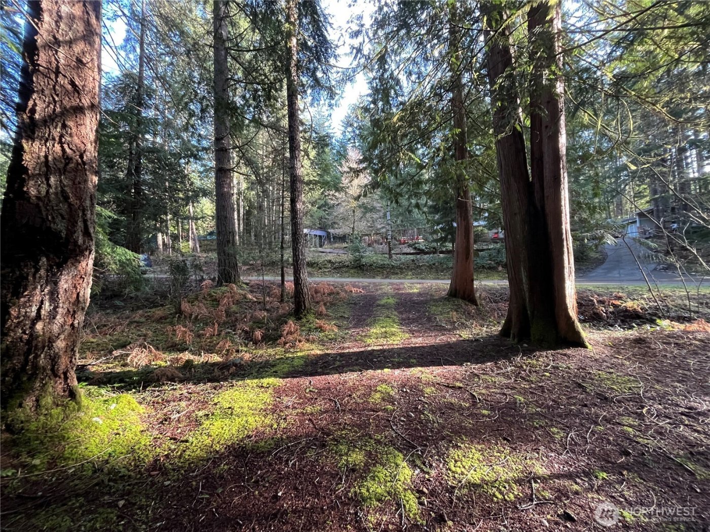 101 N Duckabush Loop W, Hoodsport, WA 98548