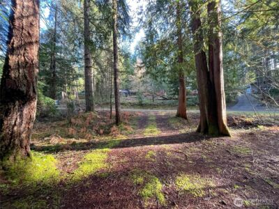 101 N Duckabush Loop W, Hoodsport, WA 98548 - Photo 12