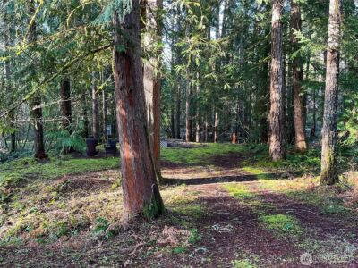 101 N Duckabush Loop W, Hoodsport, WA 98548 - Photo 2