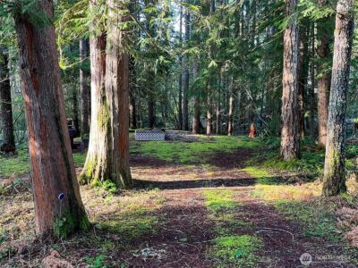 101 N Duckabush Loop W, Hoodsport, WA 98548 - Photo 3