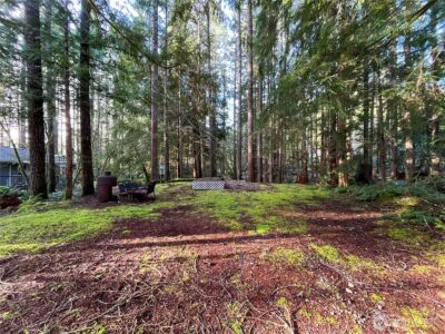 101 N Duckabush Loop W, Hoodsport, WA 98548 - Photo 4