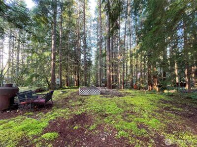 101 N Duckabush Loop W, Hoodsport, WA 98548 - Photo 5