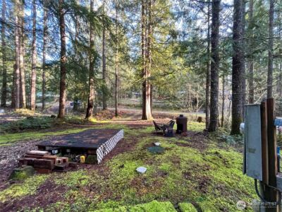 101 N Duckabush Loop W, Hoodsport, WA 98548 - Photo 8