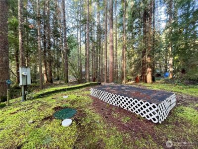 101 N Duckabush Loop W, Hoodsport, WA 98548 - Photo 9