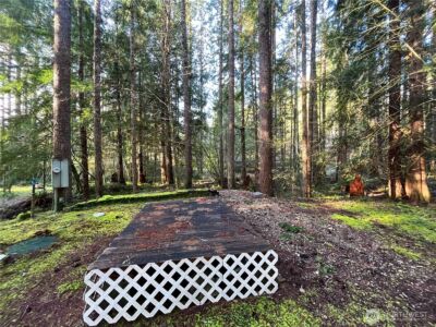 101 N Duckabush Loop W, Hoodsport, WA 98548 - Photo 10