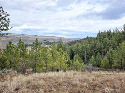 315 W Corral Drive , Oroville, WA 98844