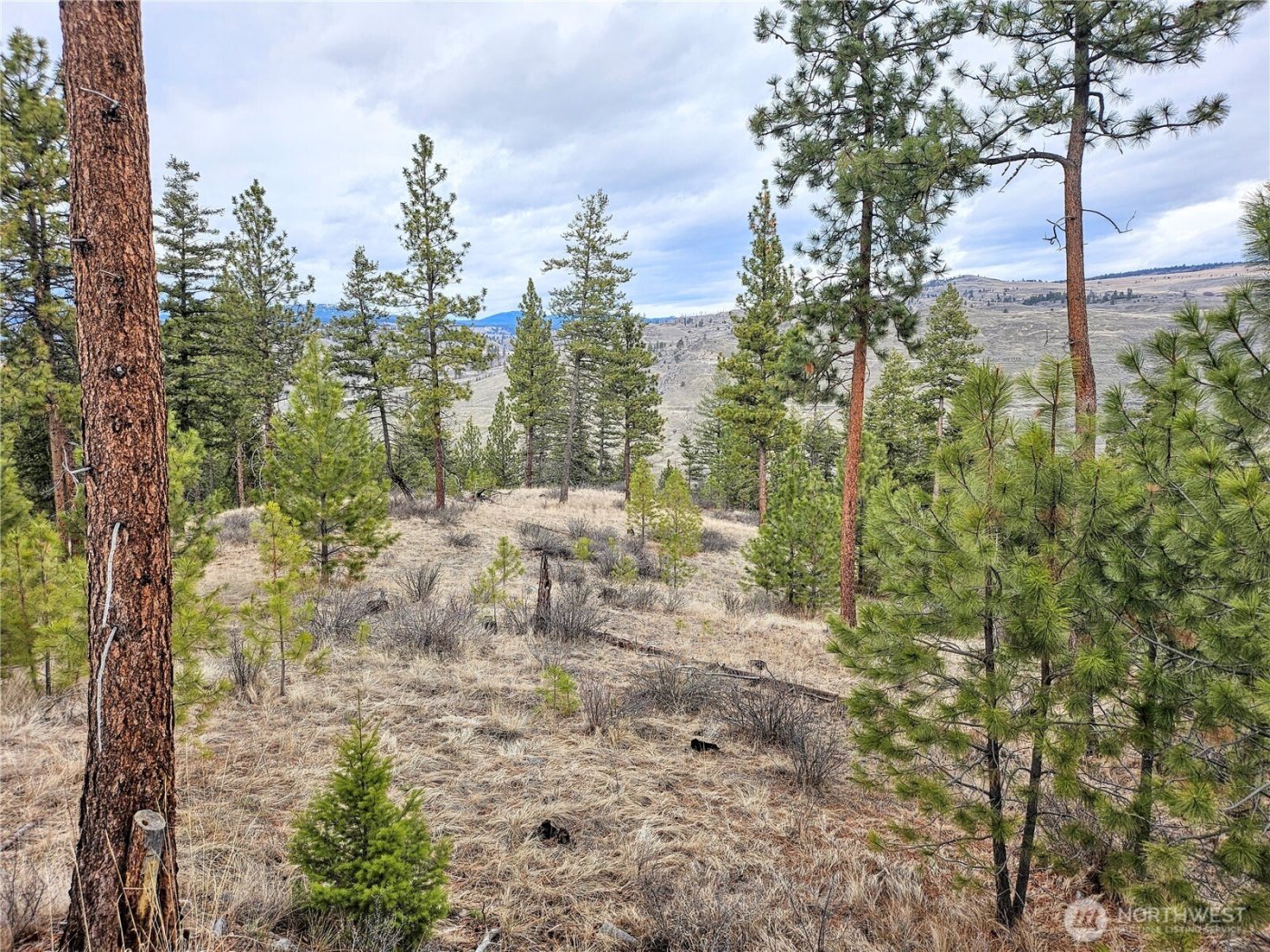 315 W Corral Drive , Oroville, WA 98844