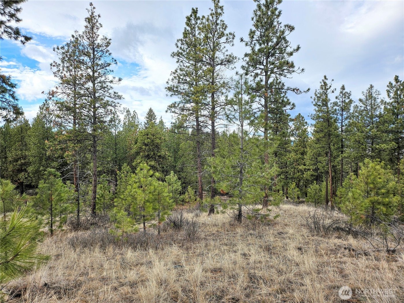 315 W Corral Drive , Oroville, WA 98844