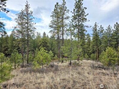 315 W Corral Drive , Oroville, WA 98844 - Photo 3