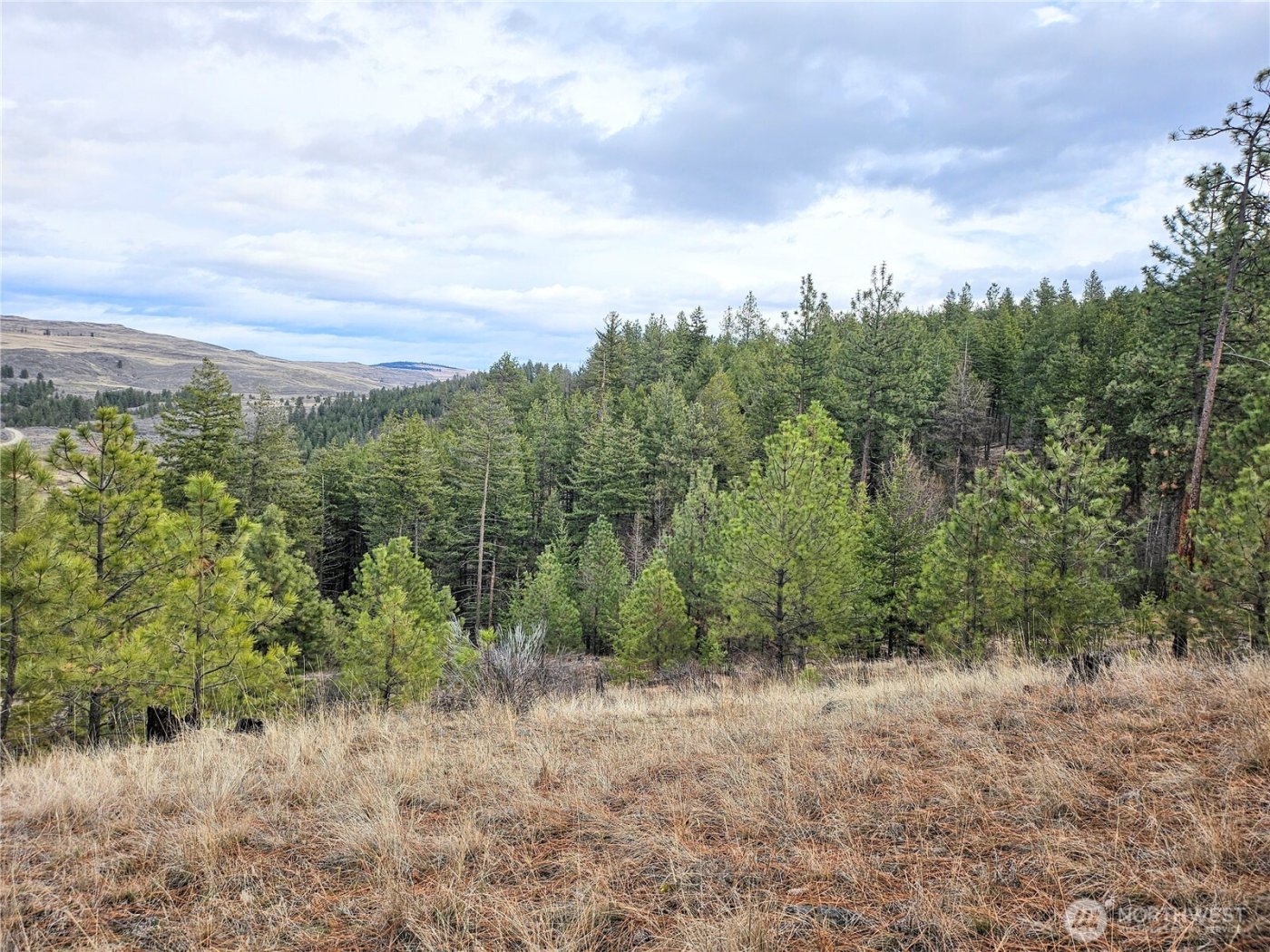 315 W Corral Drive , Oroville, WA 98844