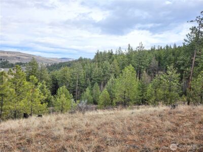 315 W Corral Drive , Oroville, WA 98844 - Photo 4