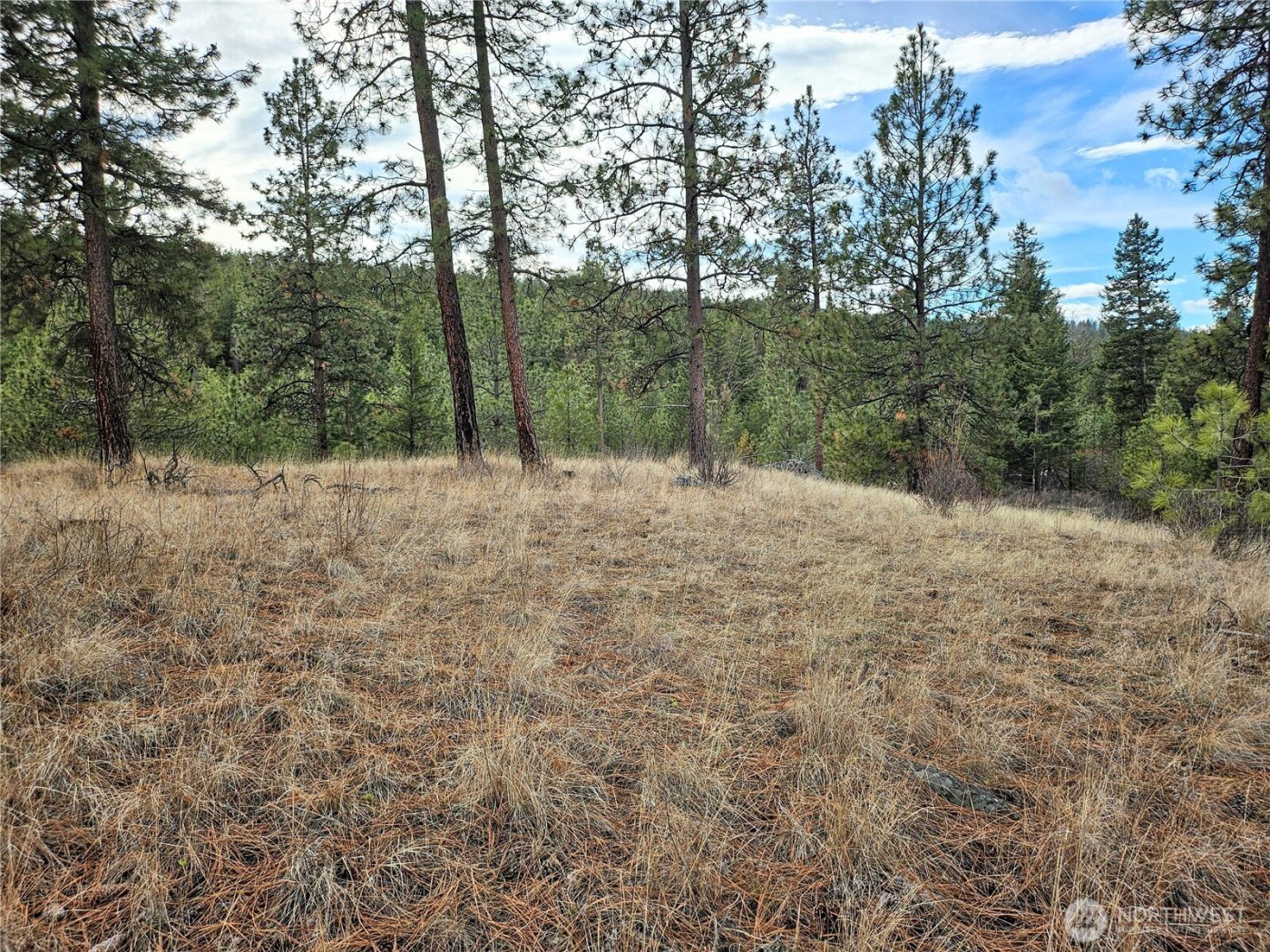 315 W Corral Drive , Oroville, WA 98844