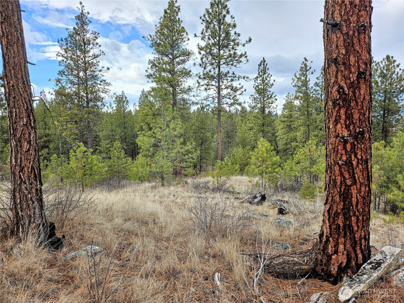 315 W Corral Drive , Oroville, WA 98844