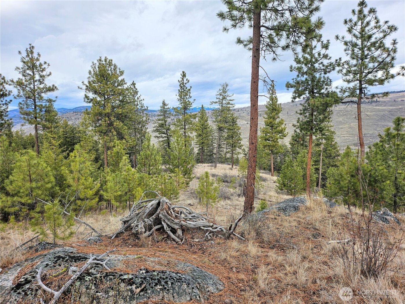 315 W Corral Drive , Oroville, WA 98844