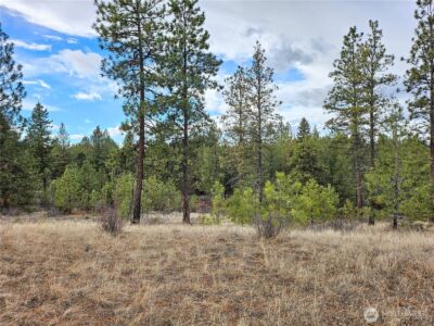 315 W Corral Drive , Oroville, WA 98844 - Photo 8