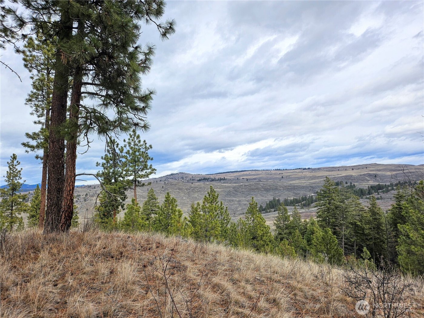 315 W Corral Drive , Oroville, WA 98844