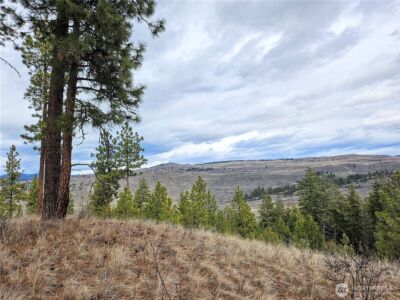 315 W Corral Drive , Oroville, WA 98844 - Photo 9