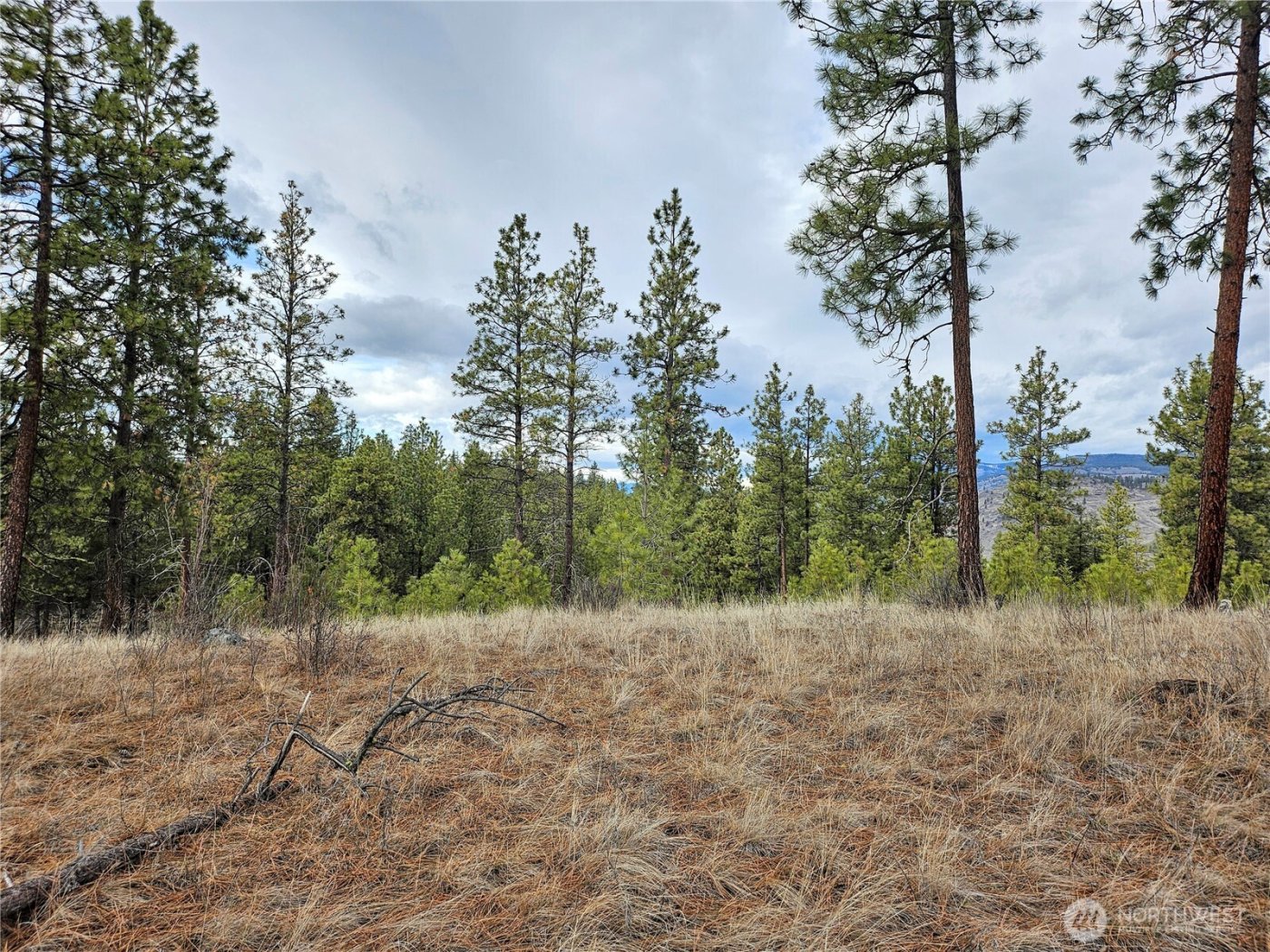 315 W Corral Drive , Oroville, WA 98844