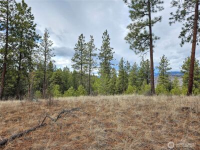 315 W Corral Drive , Oroville, WA 98844 - Photo 10