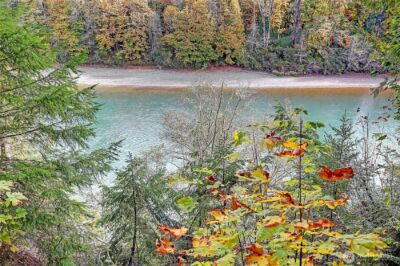 45249 North Brooks Road , Concrete, WA 98327 - Photo 34