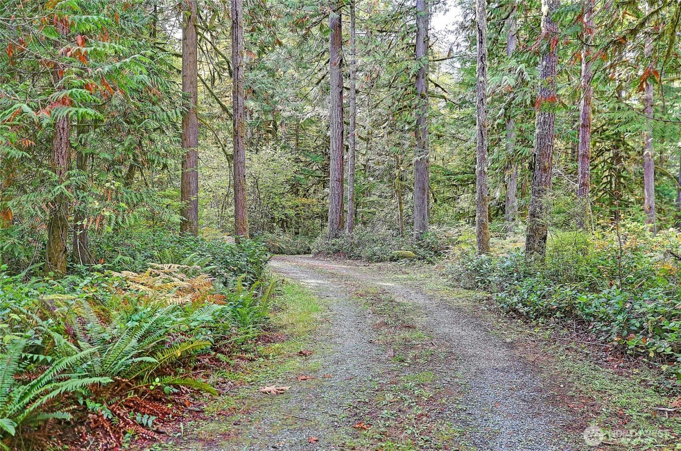 45249 North Brooks Road , Concrete, WA 98327