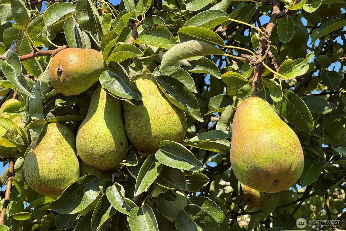 3634 Deer Park Road , Port Angeles, WA 98362