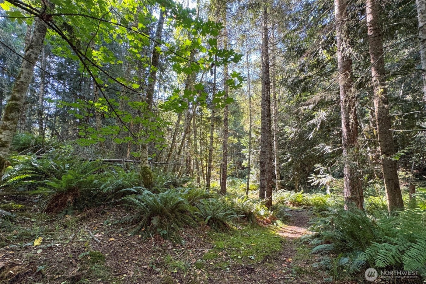 3634 Deer Park Road , Port Angeles, WA 98362