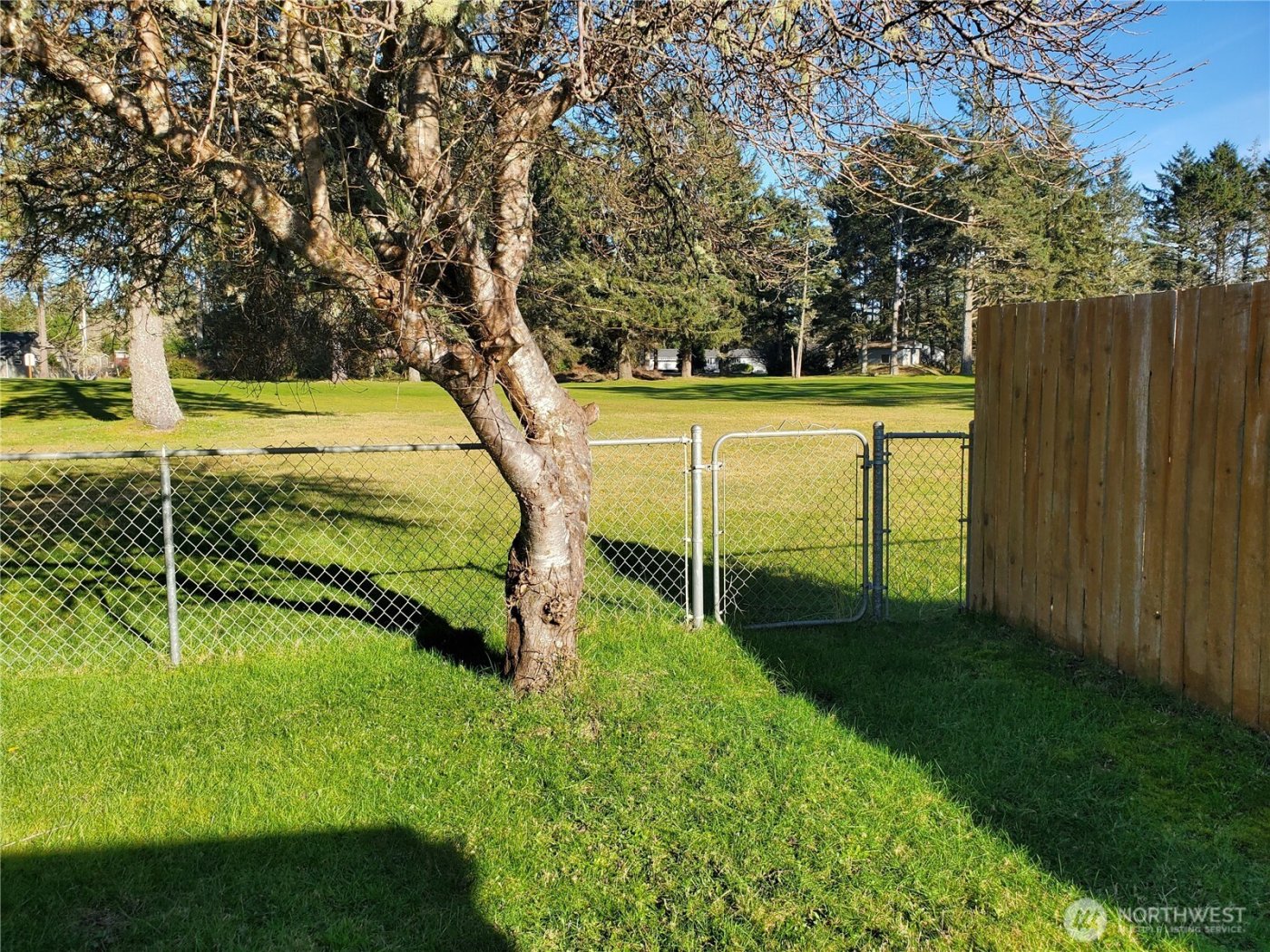 198 Octopus Avenue NE, Ocean Shores, WA 98569