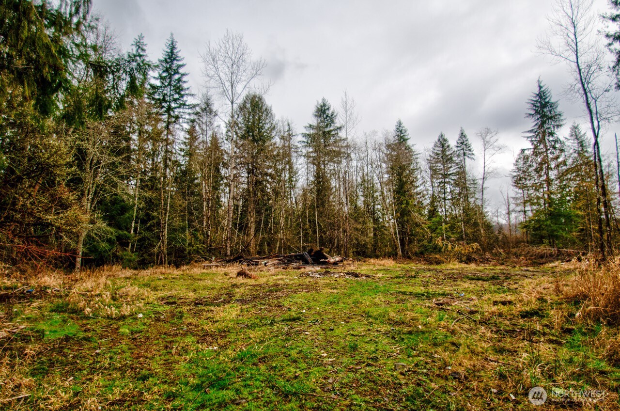 236 Tryon Road , Onalaska, WA 98570