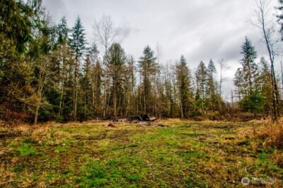 236 Tryon Road , Onalaska, WA 98570 - Photo 37