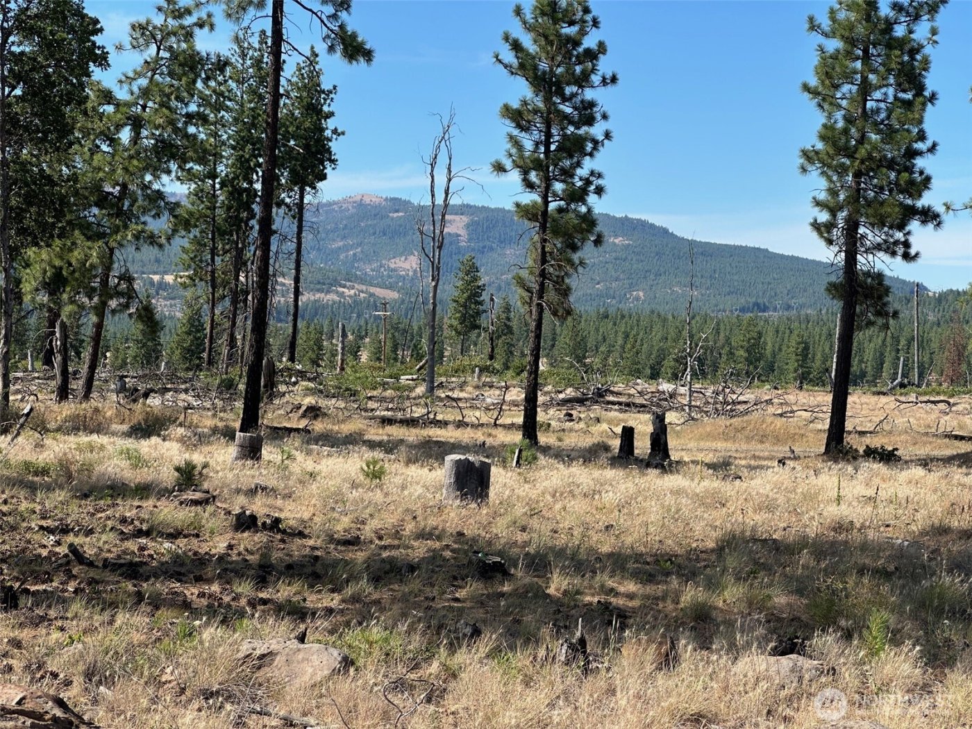 0 Lee Road , Goldendale, WA 98620