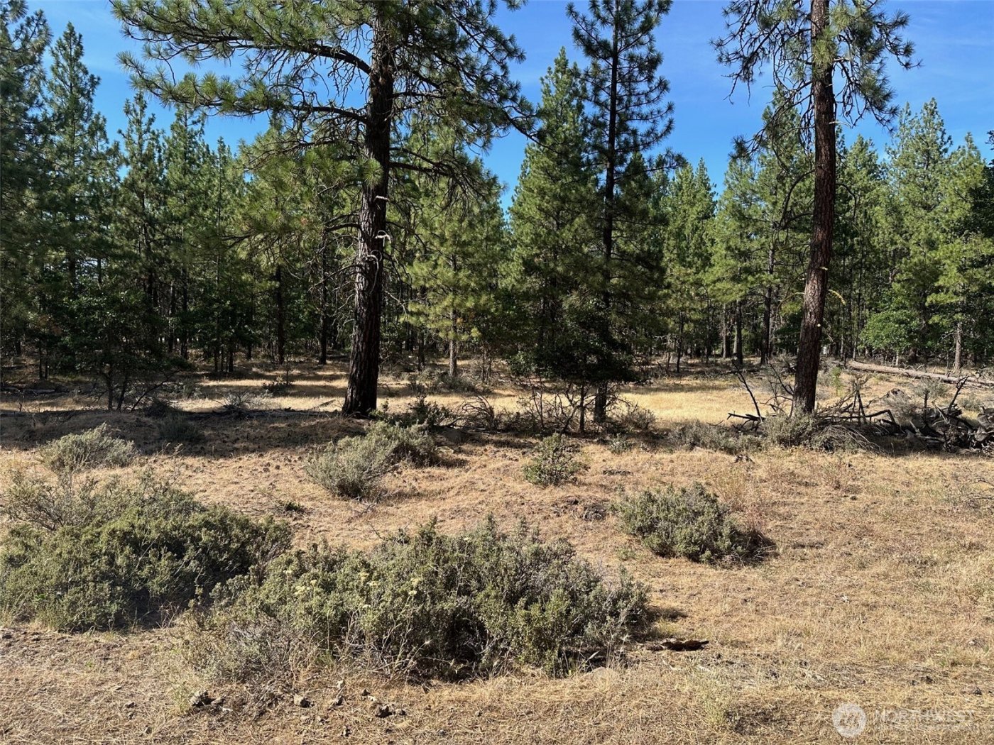 0 Lee Road , Goldendale, WA 98620