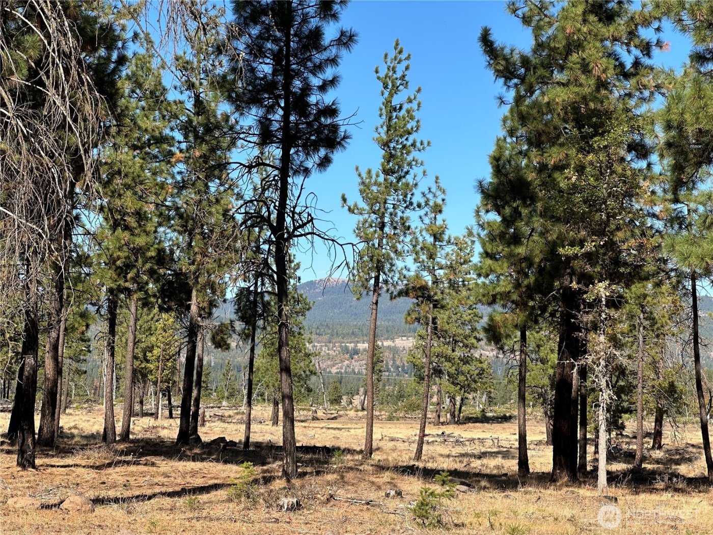 0 Lee Road , Goldendale, WA 98620