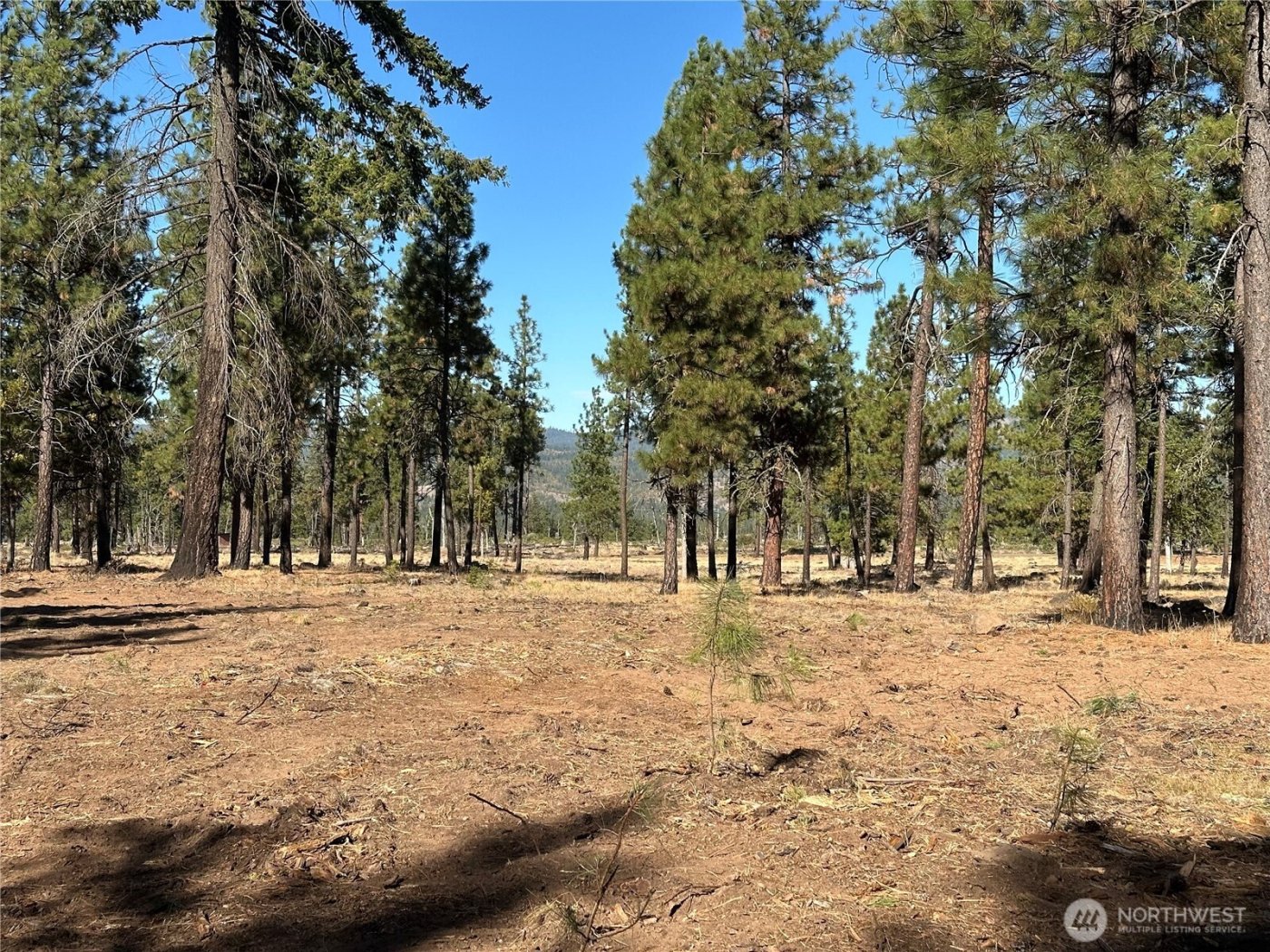 0 Lee Road , Goldendale, WA 98620