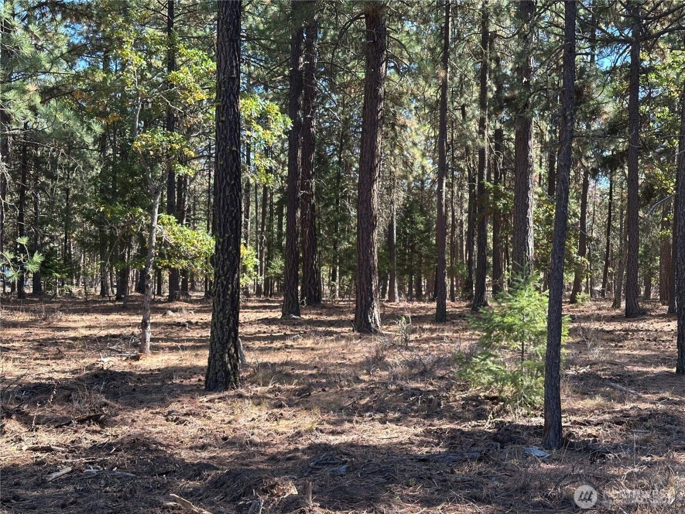 0 Lee Road , Goldendale, WA 98620