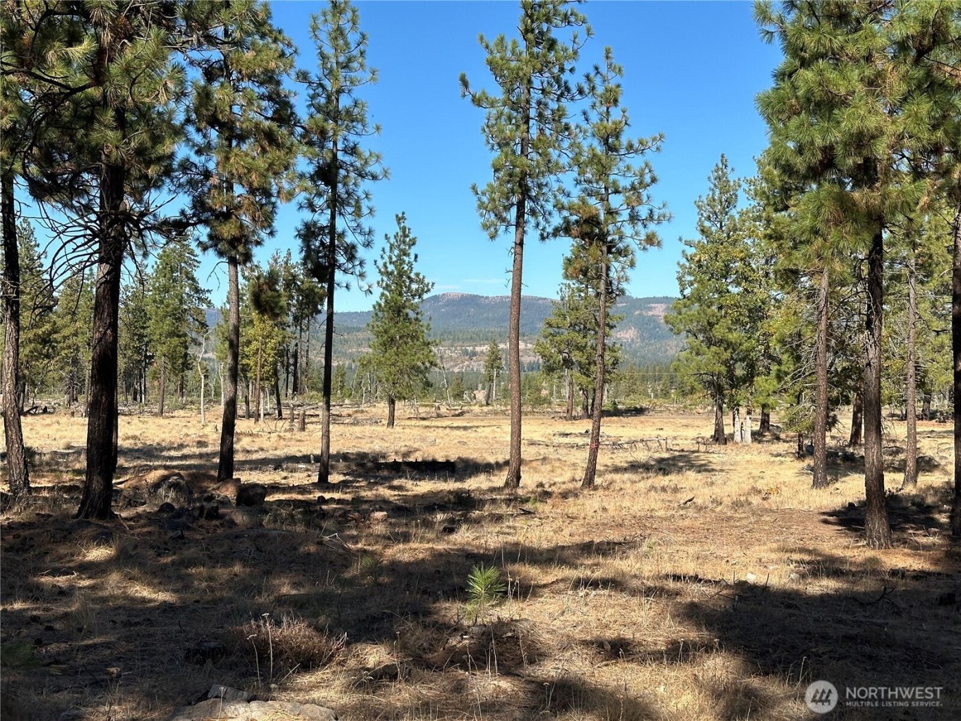 0 Lee Road , Goldendale, WA 98620