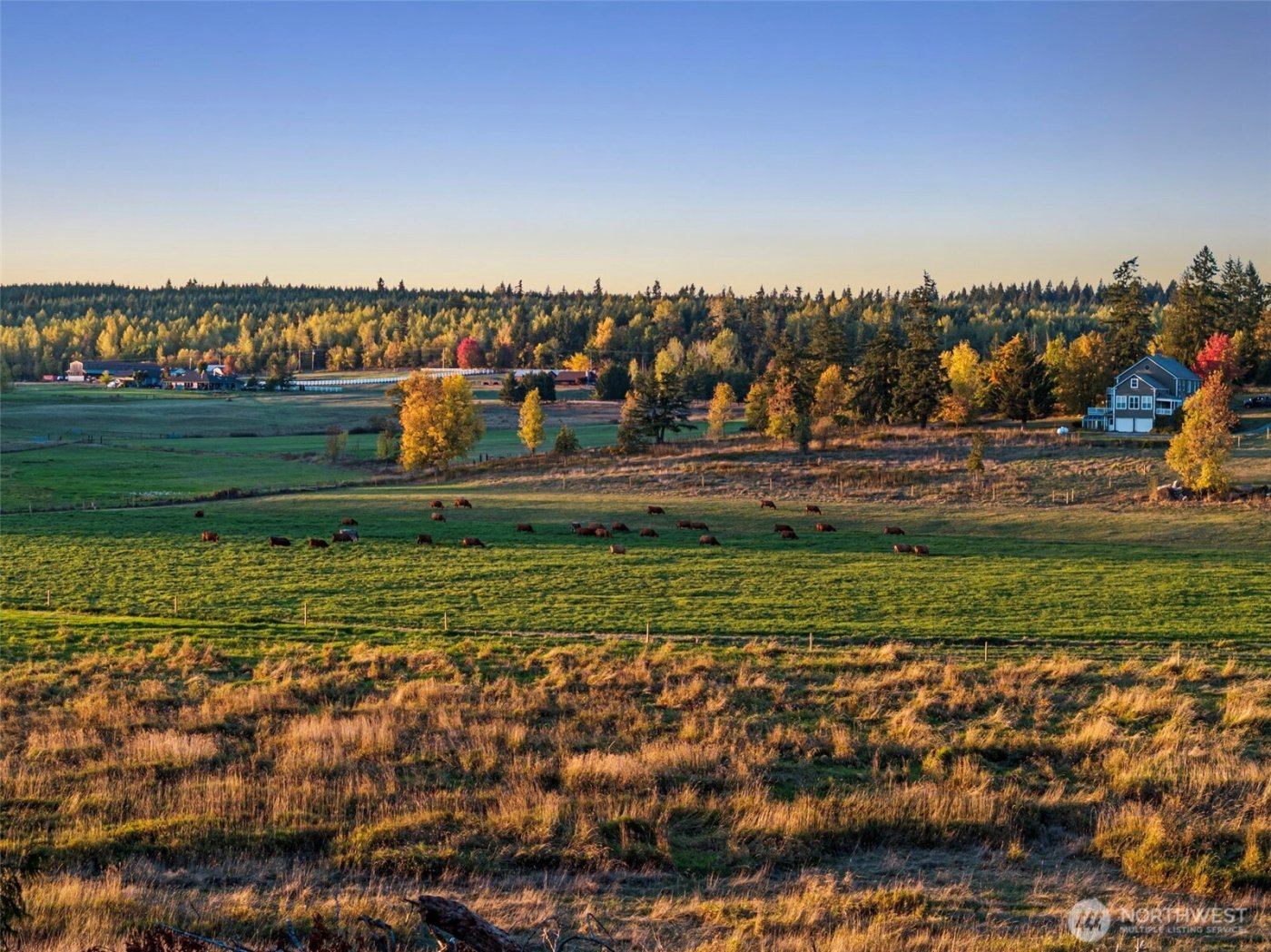 42524 Dean Kreger Rd E , Eatonville, WA 98328