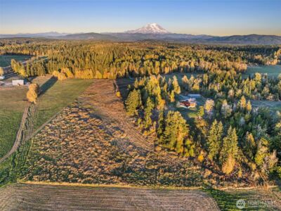 42524 Dean Kreger Rd E , Eatonville, WA 98328 - Photo 40