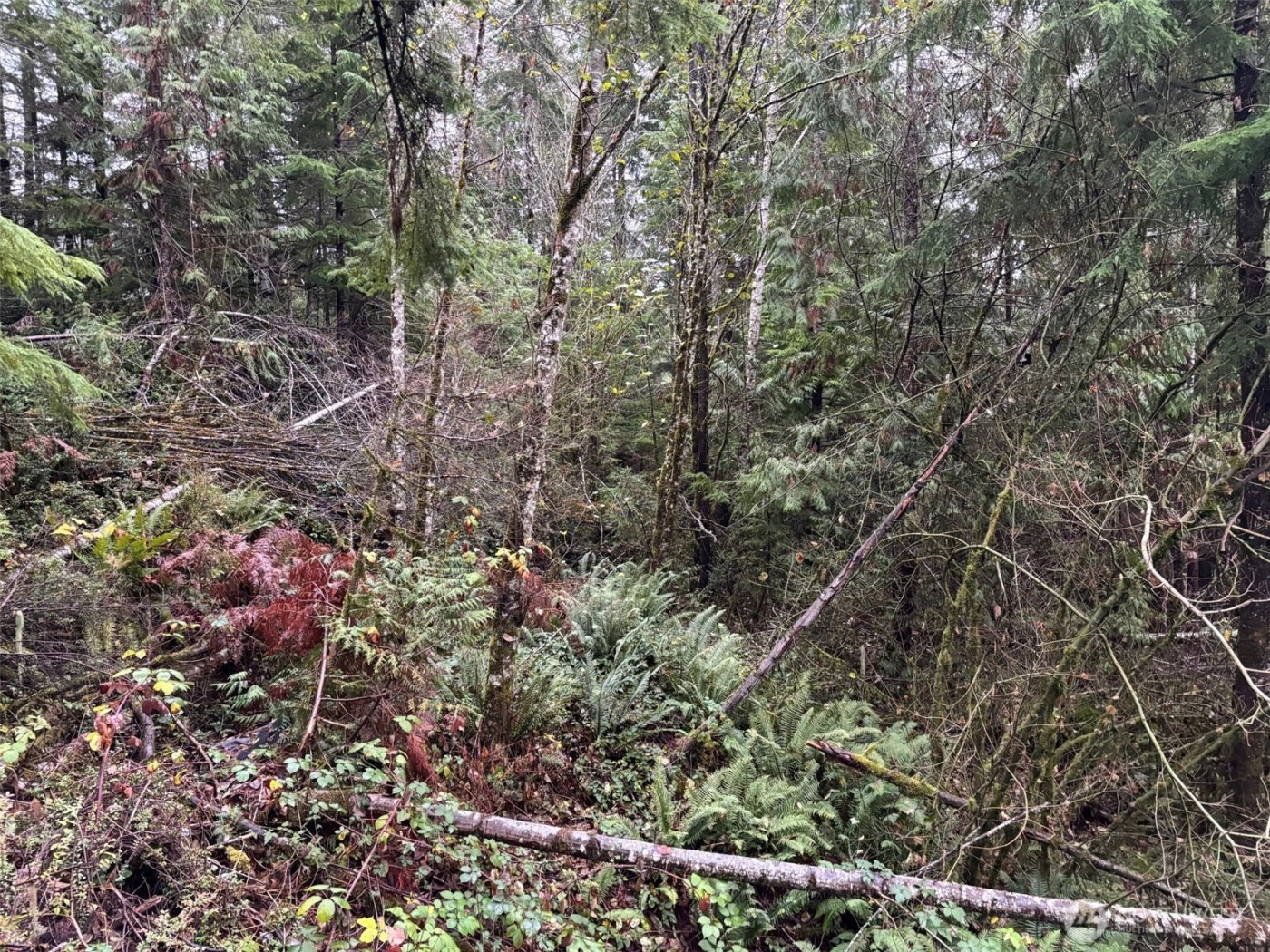 999 N Lake Cushman Drive , Hoodsport, WA 98548