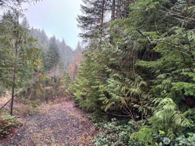 999 N Lake Cushman Drive , Hoodsport, WA 98548 - Photo 2