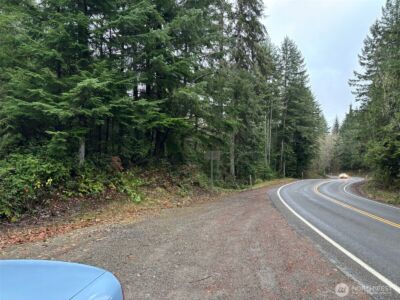 999 N Lake Cushman Drive , Hoodsport, WA 98548 - Photo 3